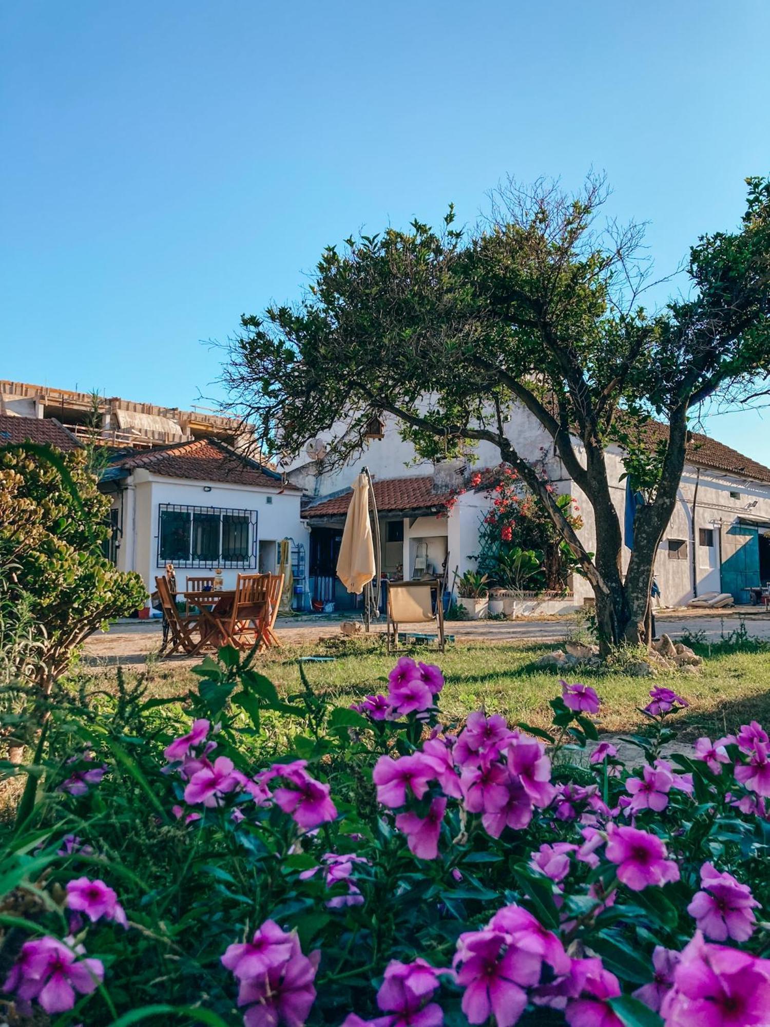 Montijo Garden - Studio With Garden View Экстерьер фото